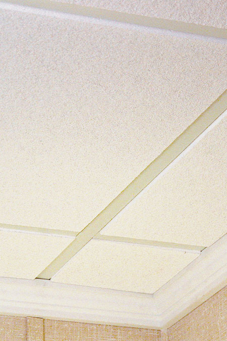 Bat Ceiling In Machusetts New Hampshire Total